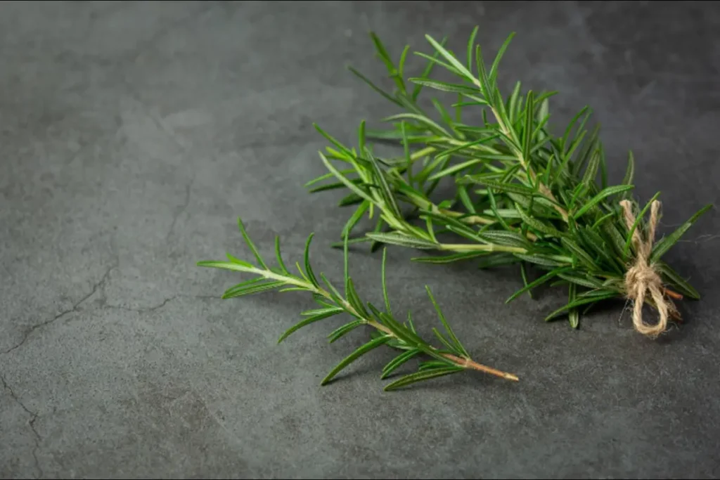 A close-up image of fresh tarragon leaves on a wooden cutting board, showcasing the herb's slender green leaves and aromatic qualities.