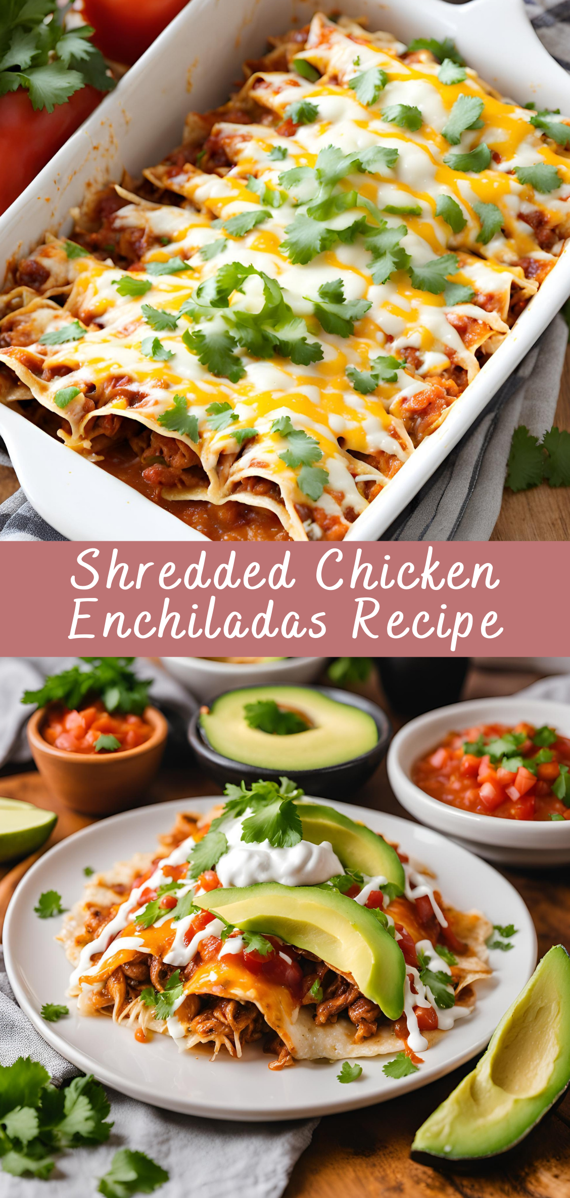 Shredded Chicken Enchiladas Recipe | Cheff Recipes