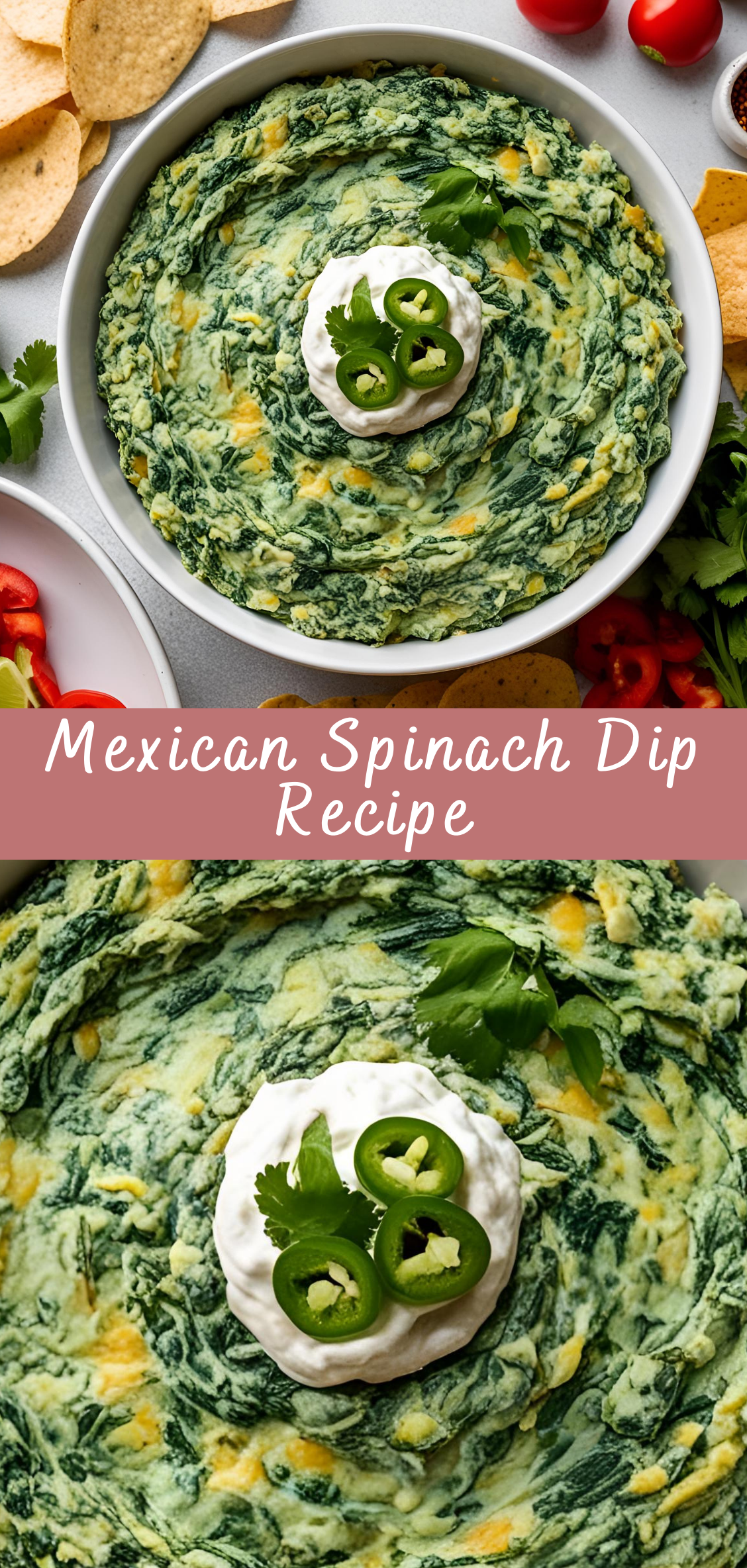 Mexican Spinach Dip Recipe | Cheff Recipes