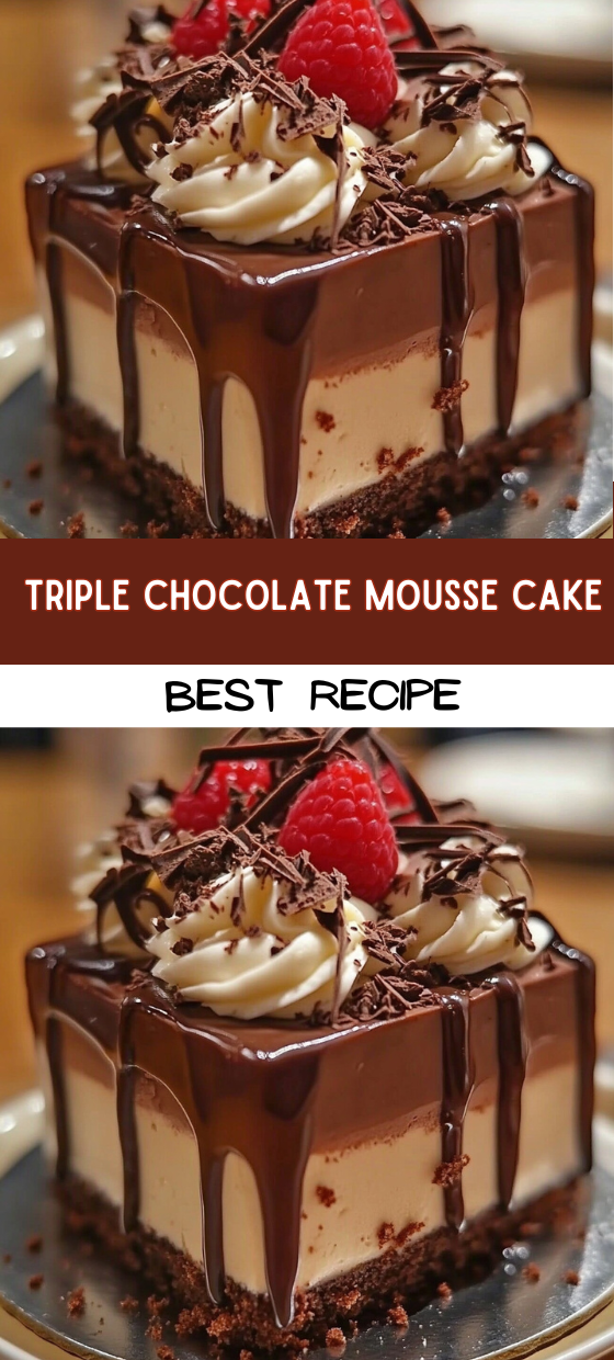 Triple Chocolate Mousse Cake